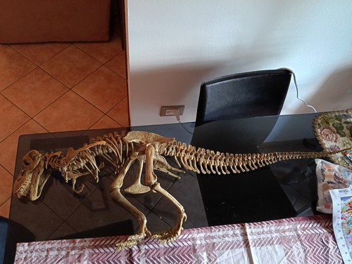 Rex collezione deagostini - t-rex, da