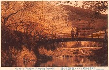 Cartolina L269 Giappone Fiori