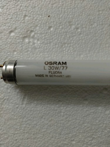 Osram 2pz neon flora - neon,
