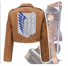 Costume Attack On Titan Survey