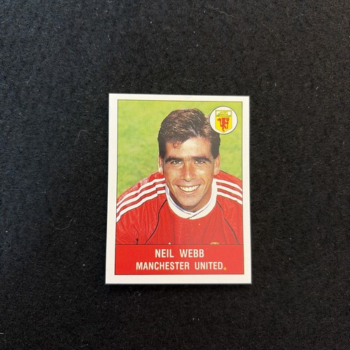 Calciatori panini 1991 - calciatori,