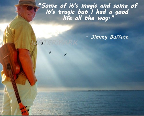 Cantante jimmy buffett - cantante,