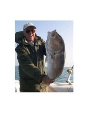 Filo pesca traina inox AISI