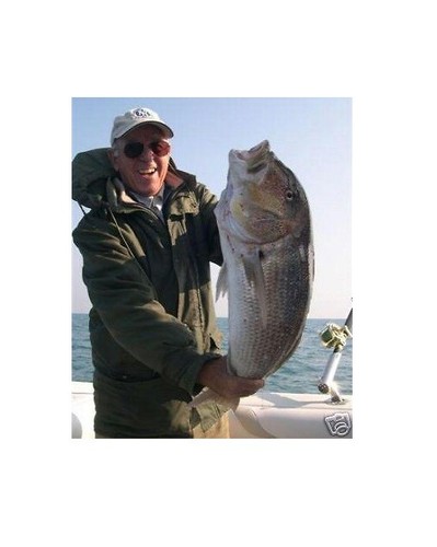Filo pesca traina - , aisi