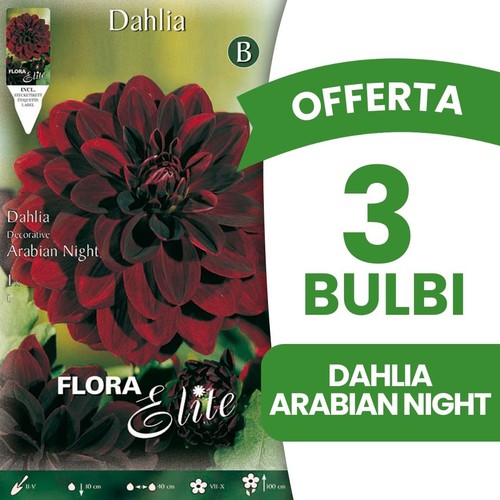 Bulbi primaverili offerta - bulbi,