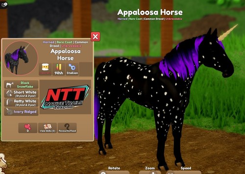 Wild horse islands black - horse,