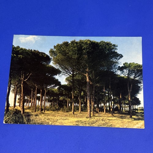 Cervia milano marittima - milano, la