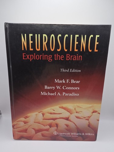 Neuroscience exploring the - exploring,