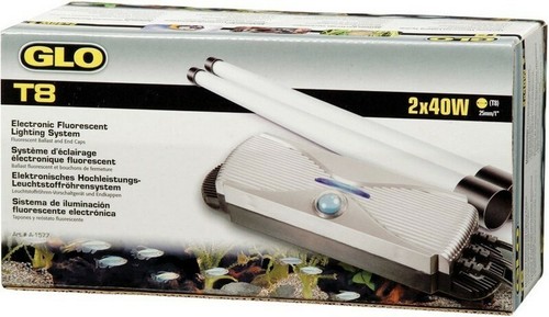 Hagen glo twin - starter, x