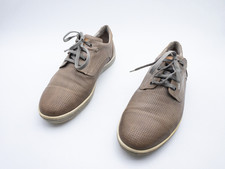Lion uomo lacci scarpe - uomo, da