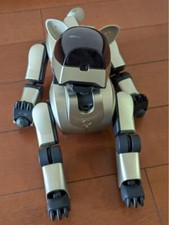 spazzatura Aibo ERS 210
