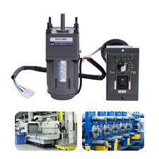 Motoriduttore 220V Motore