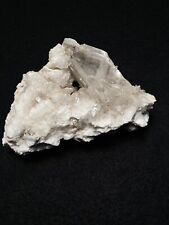 GESSO, CELESTINO, GALLIZZI