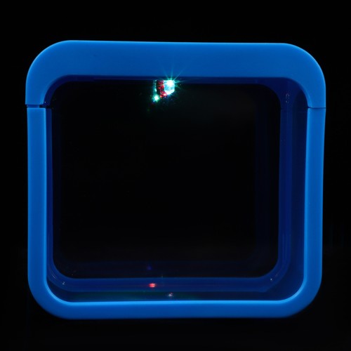 Desktop fish tank vasca pesci - fish,