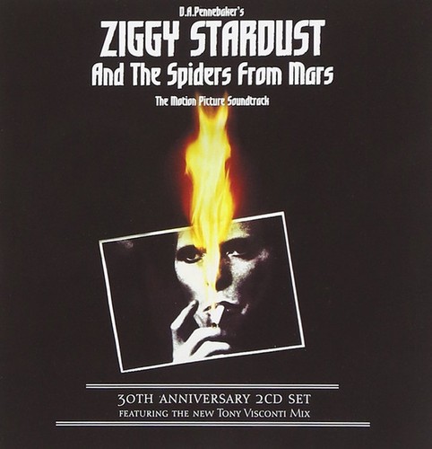 David bowie ziggy stardust - ziggy,