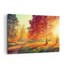 Quadro su Tela 120x80cm parco