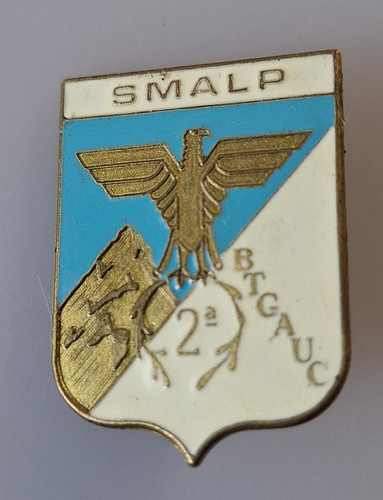 Distintivo scuola militare - distintivo,