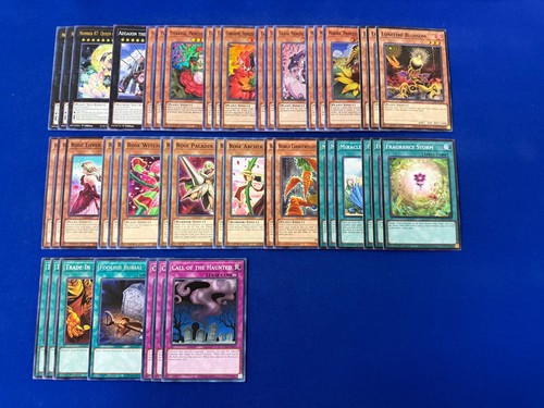 Mazzo completo di - -,