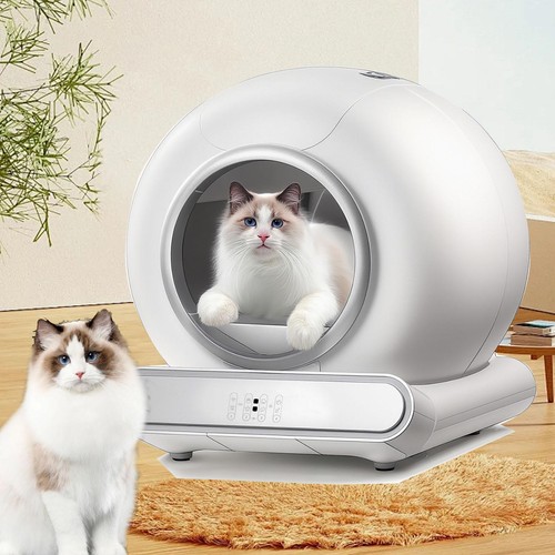 Toilette per gatti - toilette,