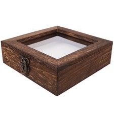  Cassetta Osservazione Insetti