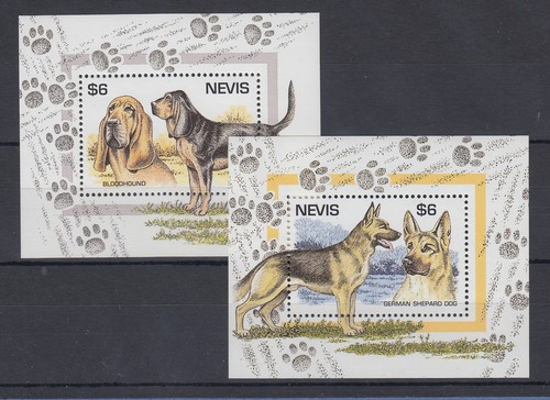 Nevis 1995 cani - , n.