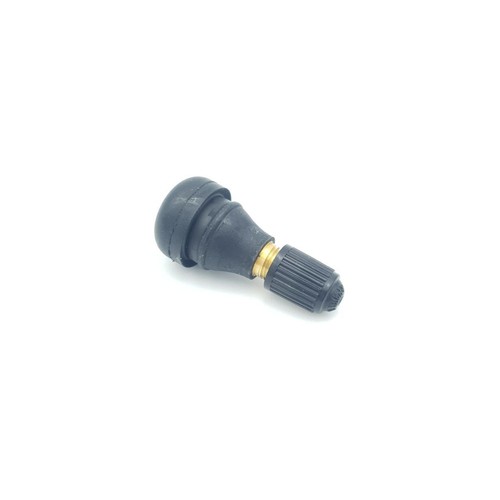 Valvola pneumatico tubeless