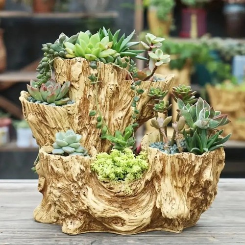 Fioriera succulenta retrò - , in