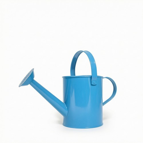 Annaffiatoio con soffione - con, a