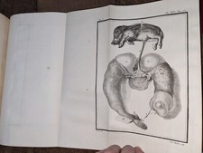 libro antico-Buffon-Storia naturale generale e particolare tg 5-1749-E.O.