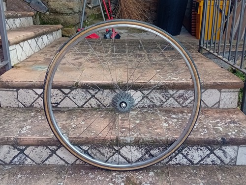 Omas ruota posteriore 700c - ,