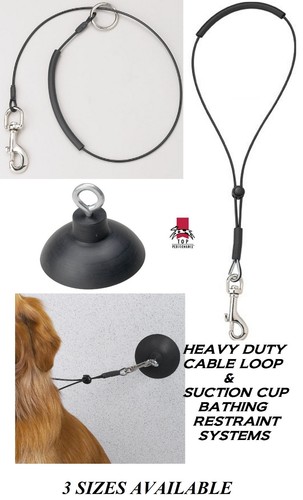 Toelettatura cane gatto - cane,