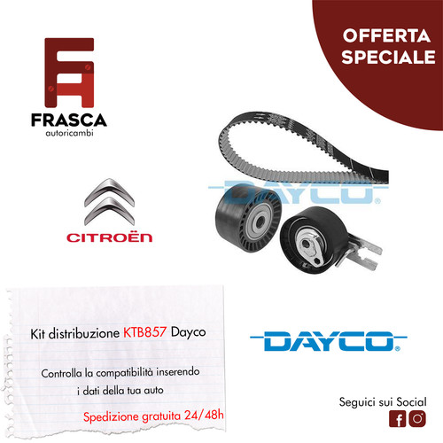 Kit distribuzione dayco - distribuzione,