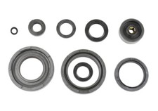 Kit guarnizioni olio motore