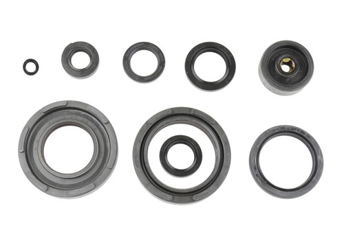 Kit guarnizioni olio motore