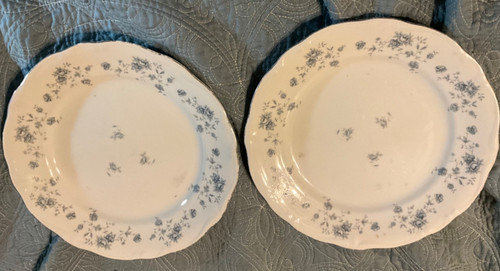 Set piatti johann haviland - piatti,