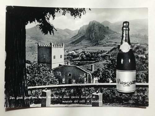 Moscato dei colli vino wine - colli,
