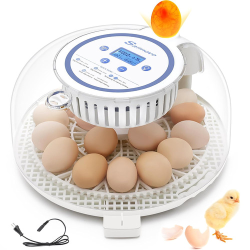 Incubatrice per uova - incubatrice,