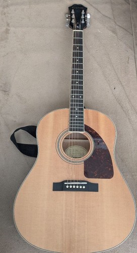 Epiphone 220s chitarra - n,