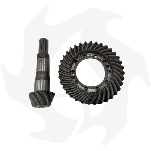 Coppia conica 35 per - z:, 10/35