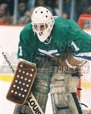 Mike Liut Hartford Whalers goalie 8x10 11x14 16x20 photo 986