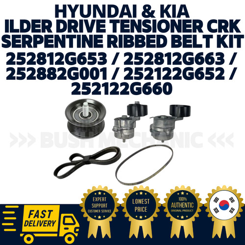 Kit cinghia coste serpentina - cinghia, a
