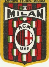 Stemma scudetto raso - in,