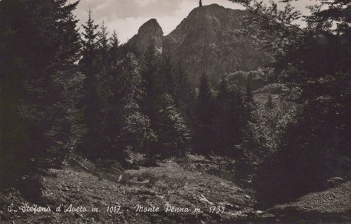 Cartolina stefano d - s., d'