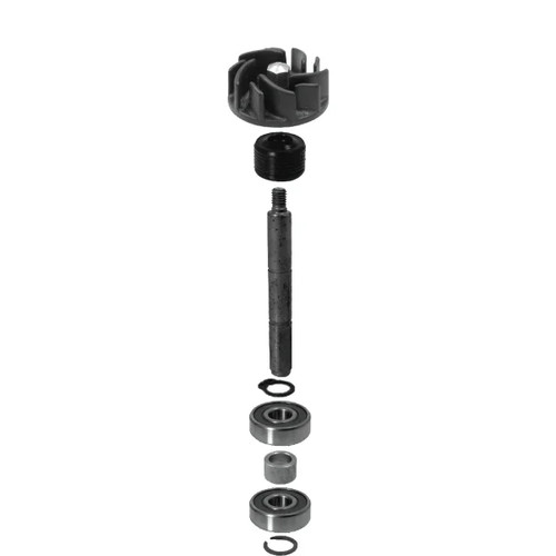 100110030 kit revisione - 100110030, pompa