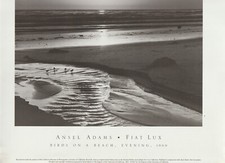 ANSEL ADAMS FIAT LUX BIRDS ON