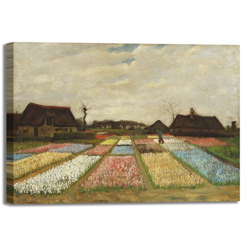 Van gogh campi tulipani - campi,