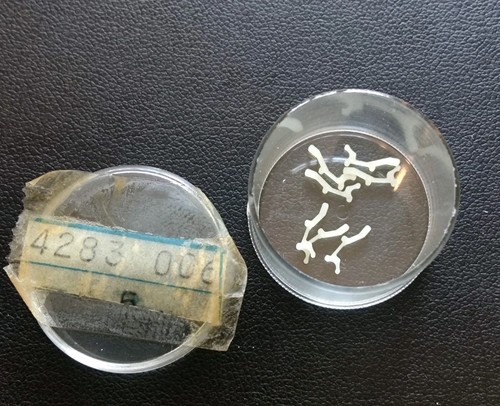 Vintage watch pulsar v601 - vintage,