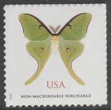 US 6031 Butterfly Luna Moth
