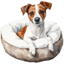 2 adesivi Jack Russell Terrier