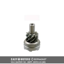 100254630 PIGNONE MESSA IN